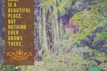 A comfort zone is a beautiful place but nothing ever grows there