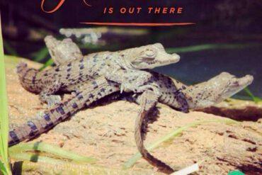 Adventure is out there!