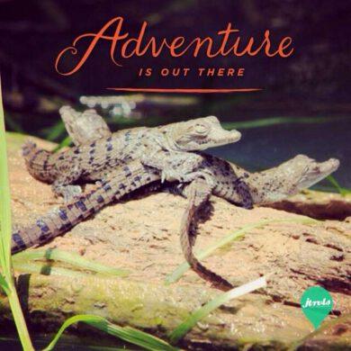 Adventure is out there!