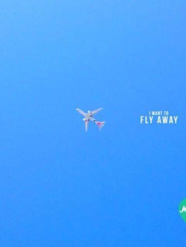 I want to fly away