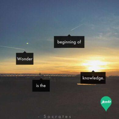 Wonder is the beginning of knowledge