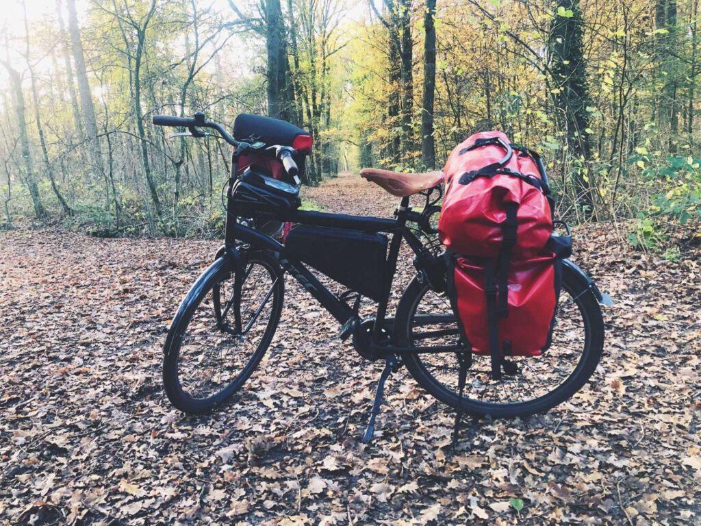 Gustavo is ready steady to GO!