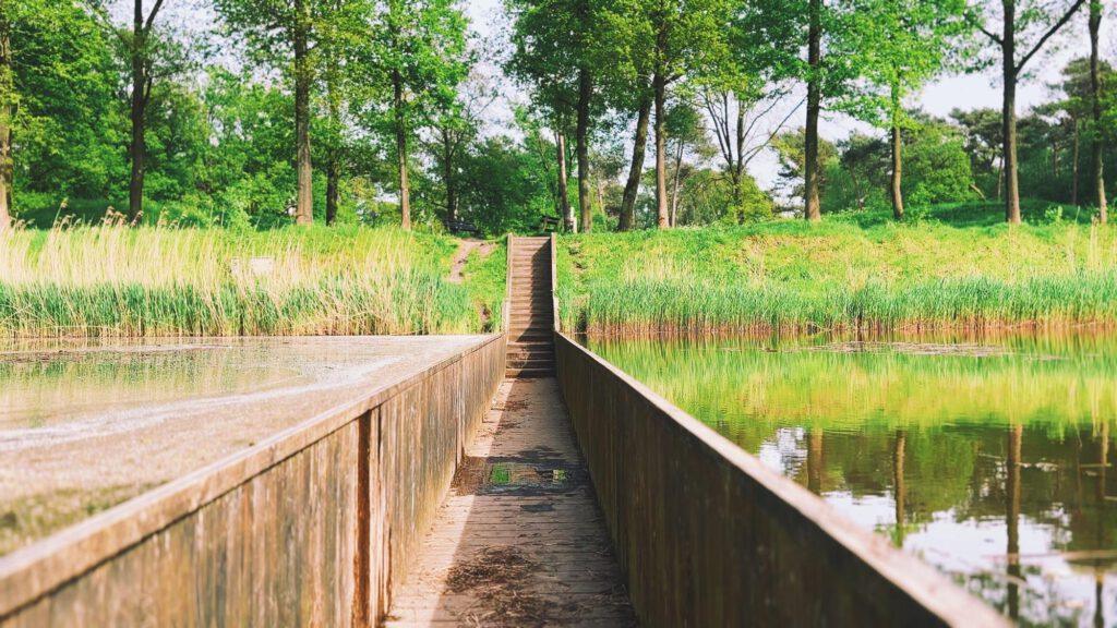 Mozes bridge art work