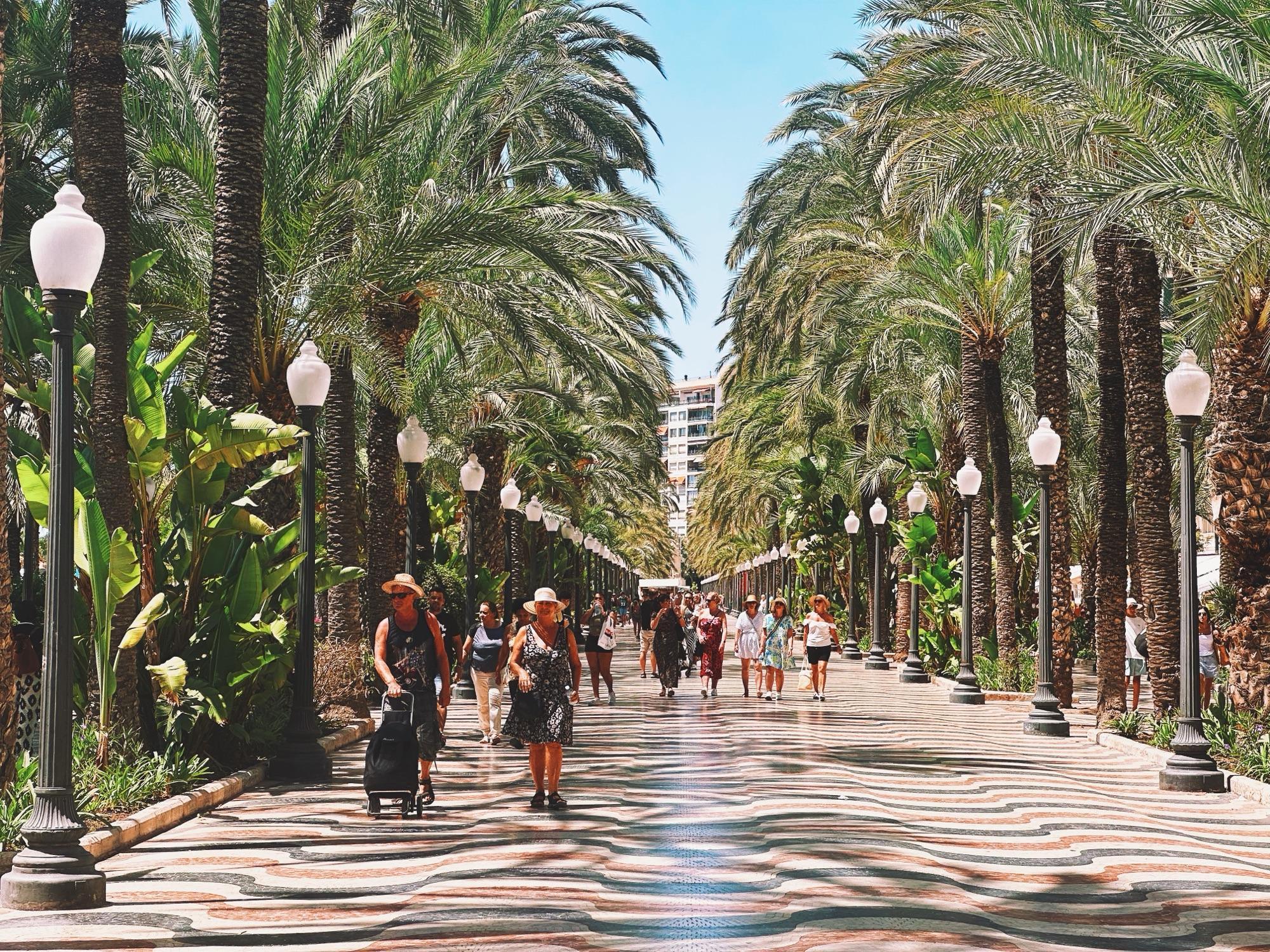Boulevard, Alicante, Spain 🇪🇸