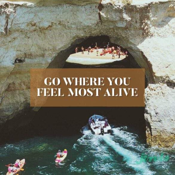 GO WHERE YOU FEEL MOST ALIVE